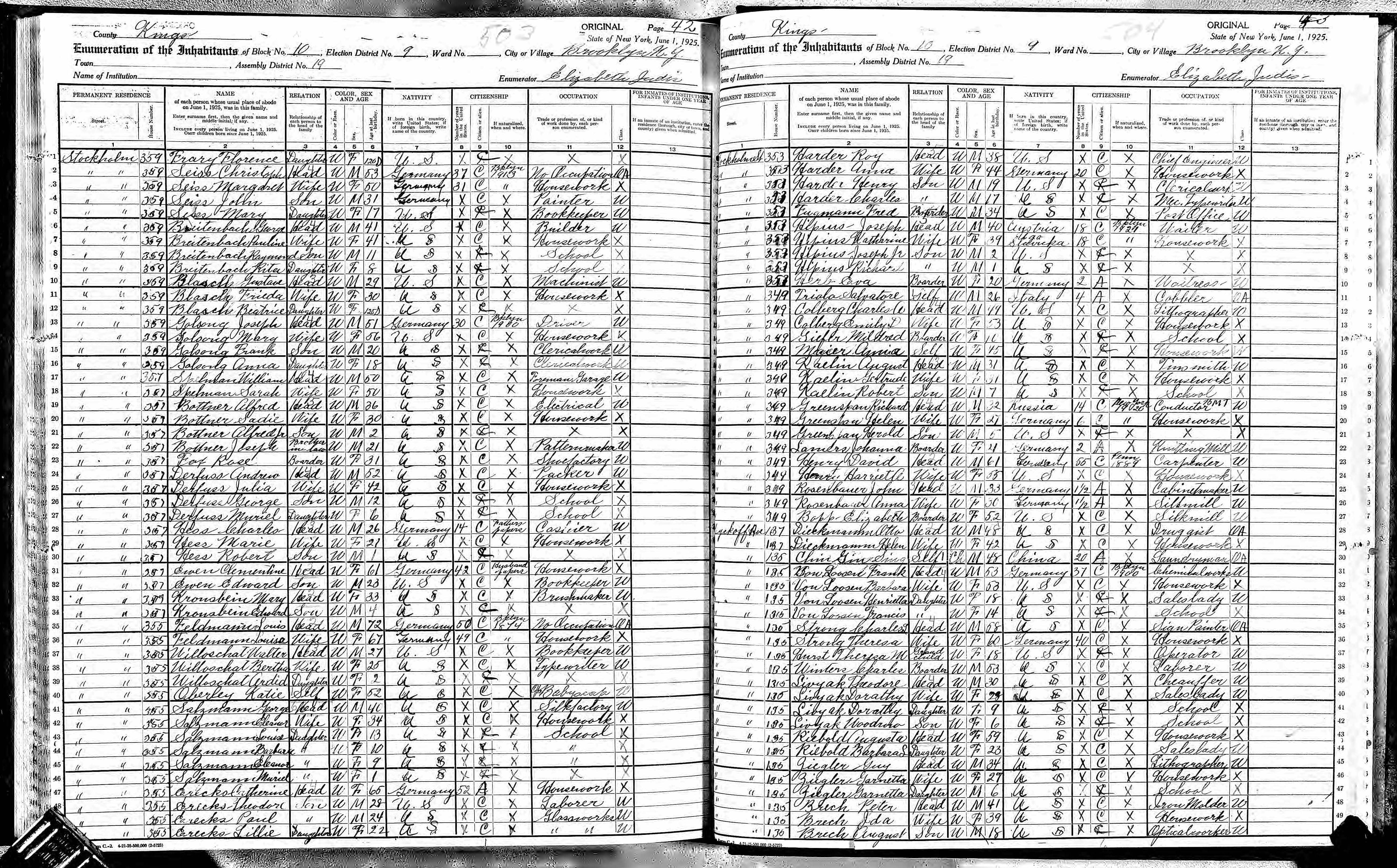 1925 NY Census Strongs & Tess Hurst.jpg